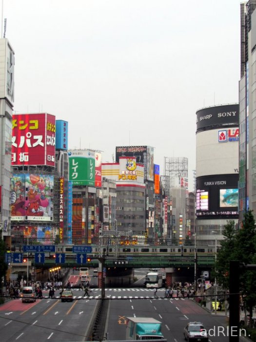 09 - shinjuku Kabukicho (8)