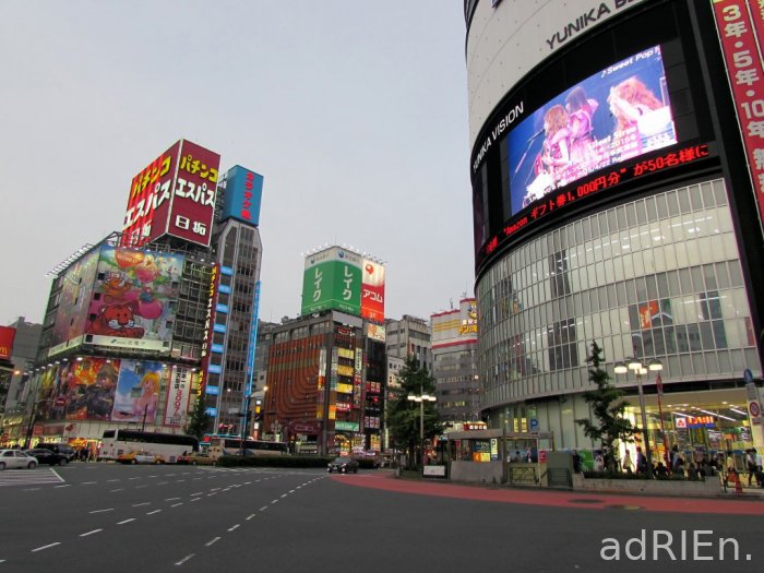 09 - shinjuku Kabukicho (15)
