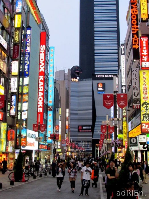 09 - shinjuku Kabukicho (20)