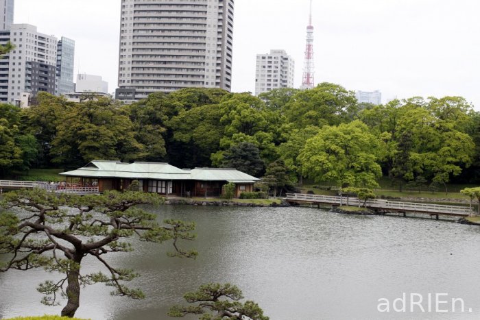 2 - parc Hamarikyu (12)