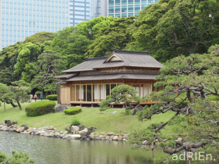 2 - parc Hamarikyu (22)