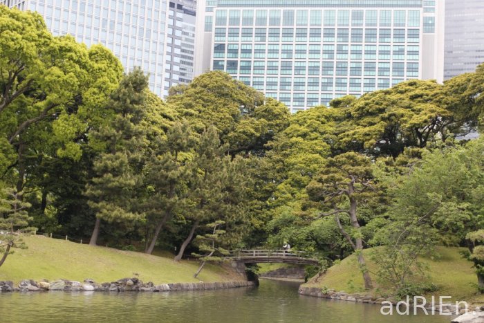 2 - parc Hamarikyu (27)
