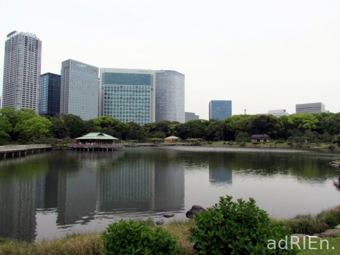 2 - parc Hamarikyu (27) New1