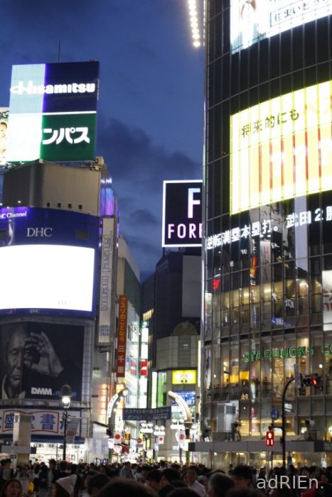 6 - Shibuya (1)