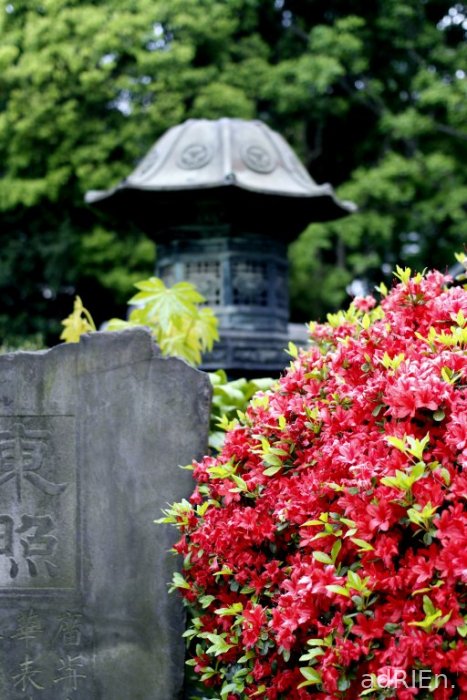 1 - Parc Ueno (14)