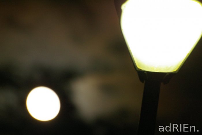 winternight