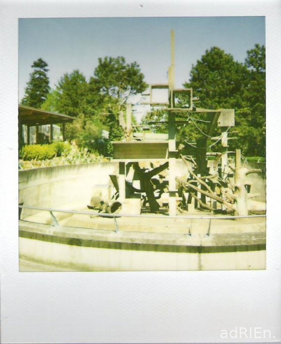 zoo