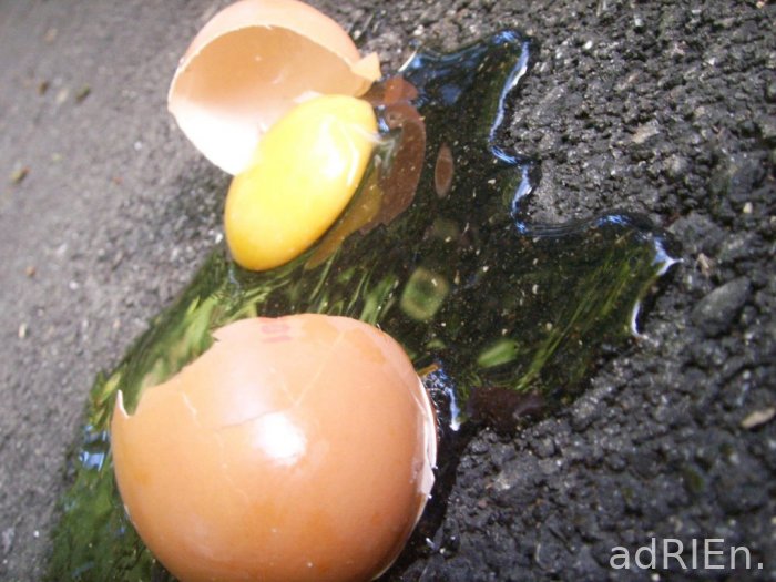 oeuf2