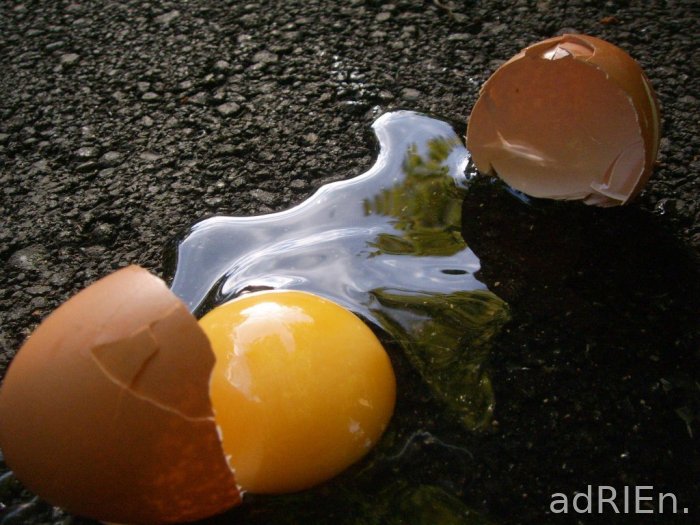oeuf1