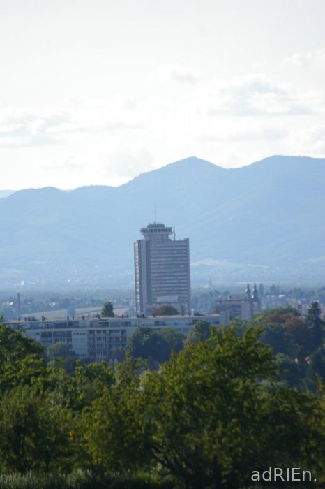 mulhouse vert (2)