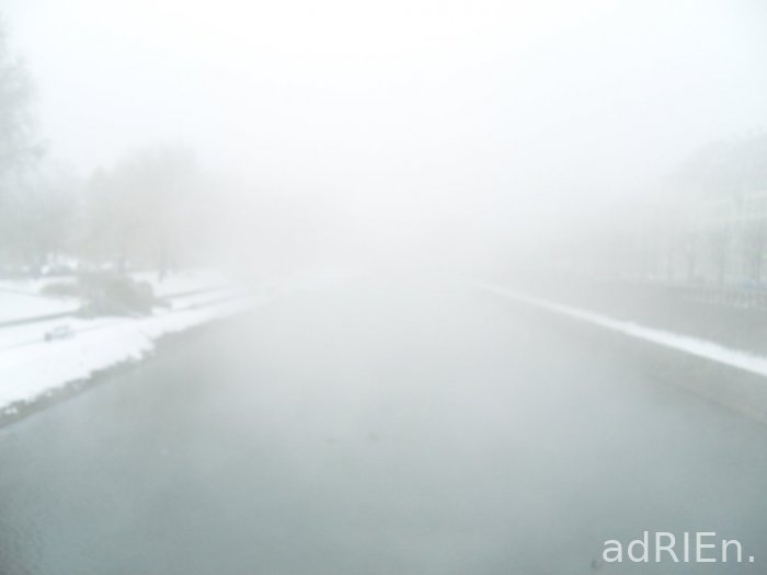 brouillard