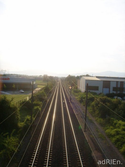 train