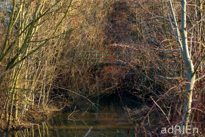 pontlill