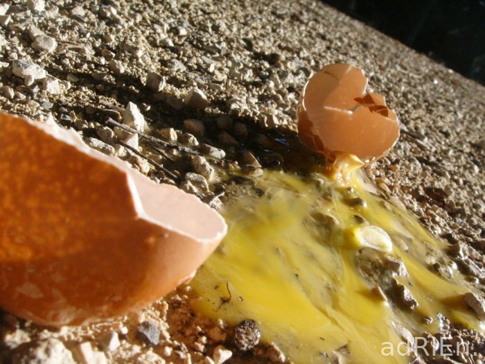 oeuf3