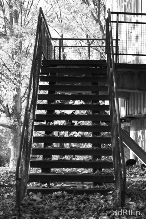 escalier (1)