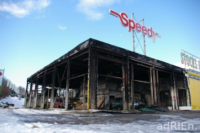 speedy (2)