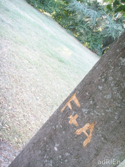 arbre