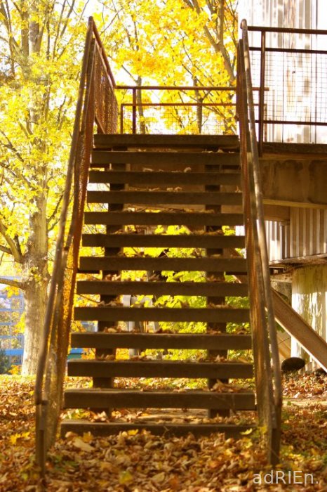 escalier automne