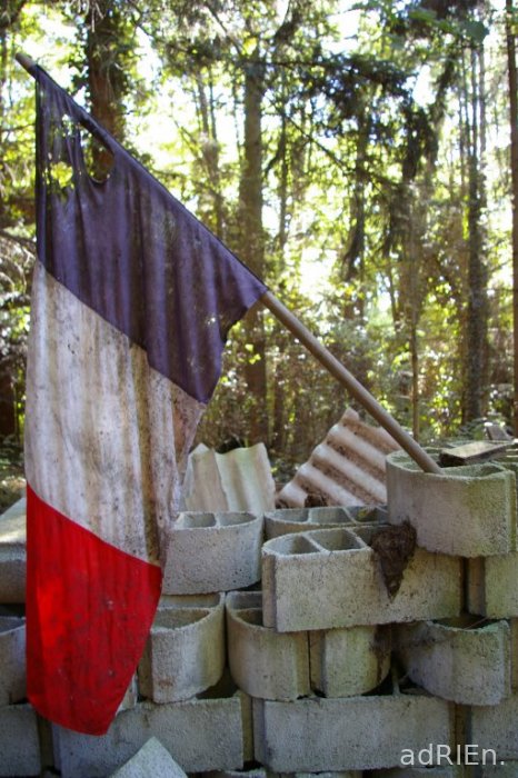 frenchflag