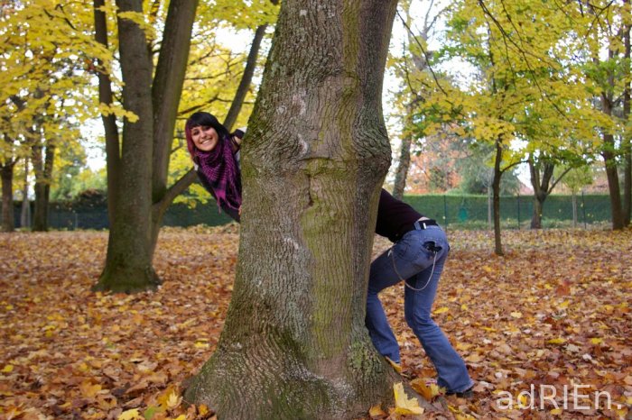 lejo arbre moitie (1)