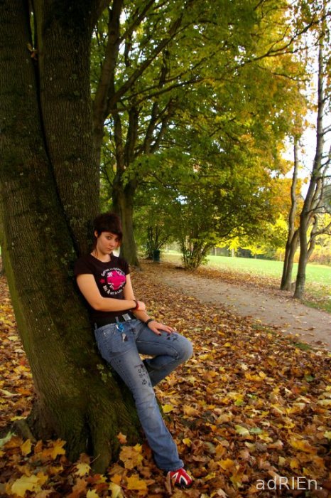 le arbre (7)