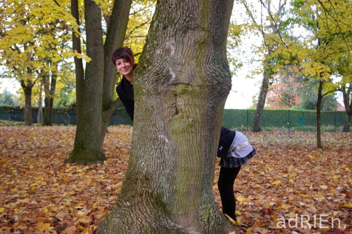 lejo arbre moitie