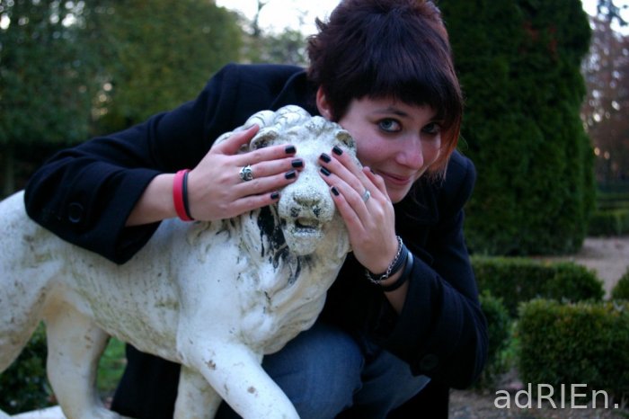 le lion (14)