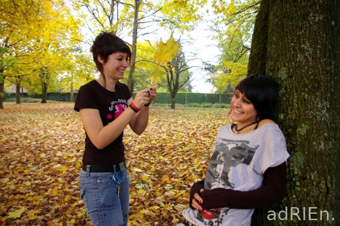 lejo arbre (3)