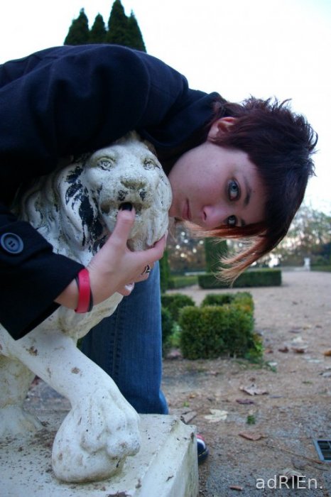 le lion (8)