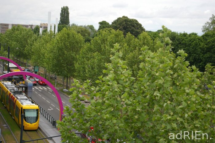 tram (5)