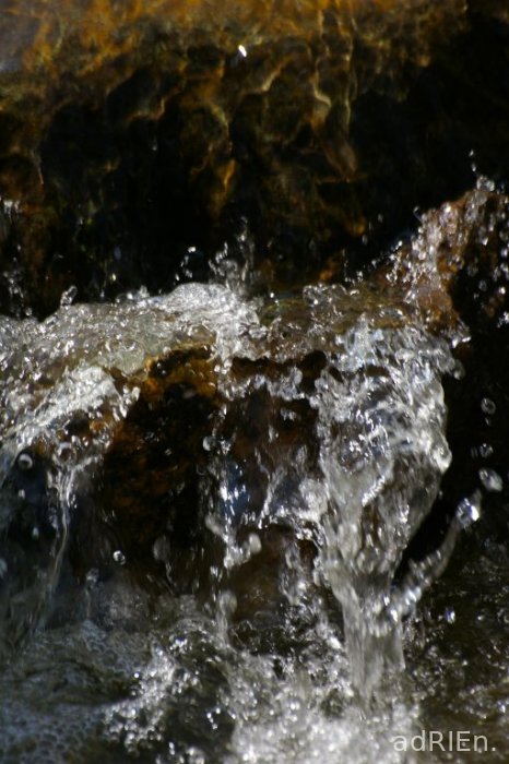 IMGP5340