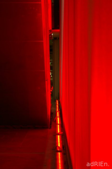 le rouge (11)