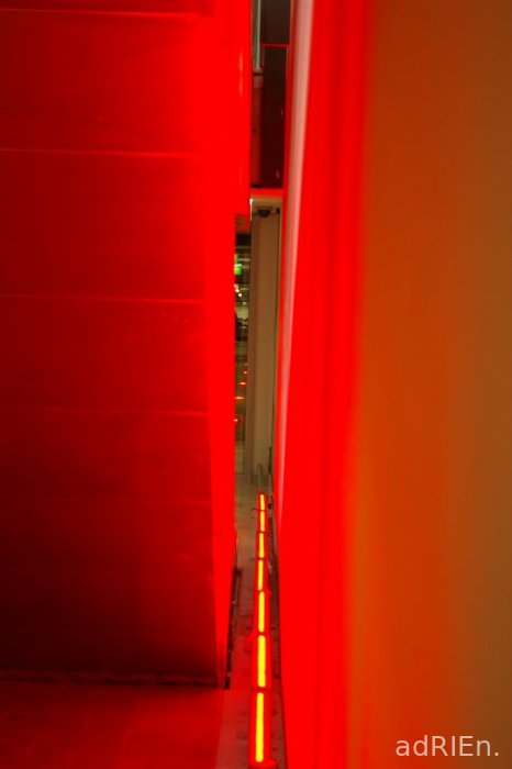 le rouge (16)