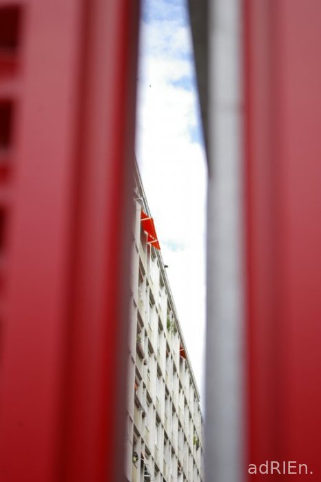 le rouge (4)