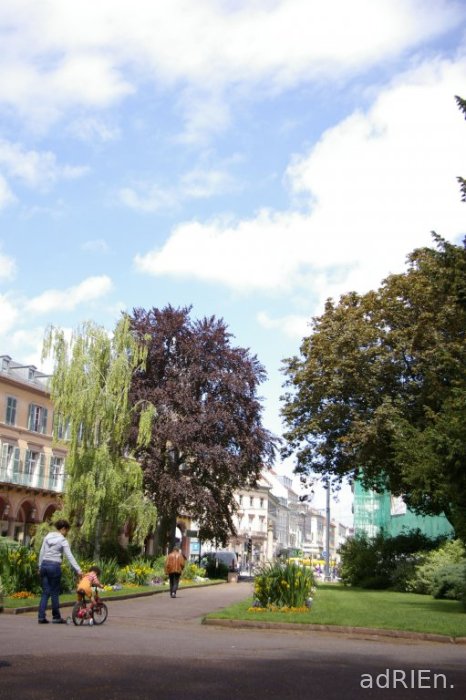 mulhouse parc et jardin (6)