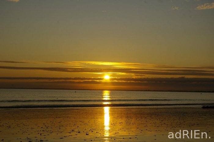 mardi 4 aout (49)