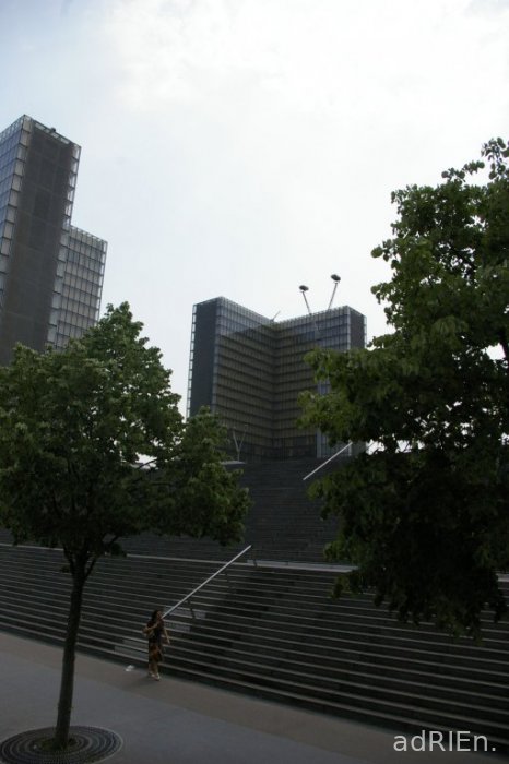 bnf (3)