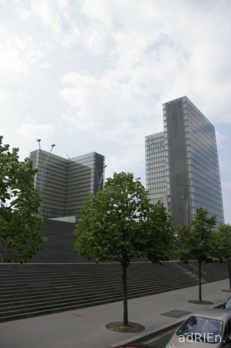 bnf (5)