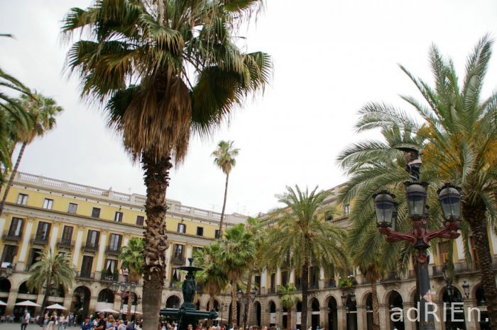 j2 - plaza reial