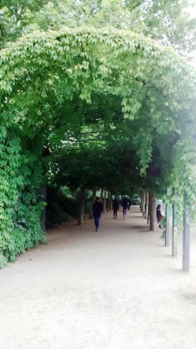 J3 Petite rue