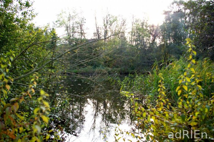 etang